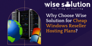 why choose wise solution for cheap windows reseller hosting plans
