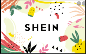 Shein-Gift