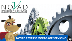 novad management consulting scam