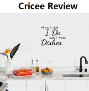 Cricee Review