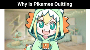 Why Is Pikamee Quitting