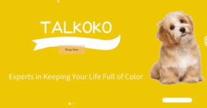 Talkoko com Review