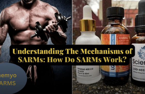 Understanding The Mechanisms of SARMs