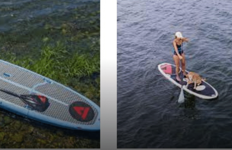 Sherwind Paddle Board Reviews